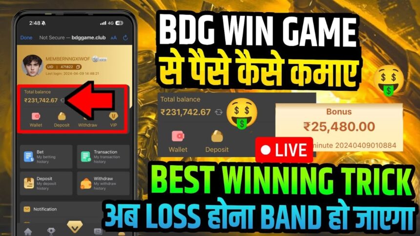 BDG Win App